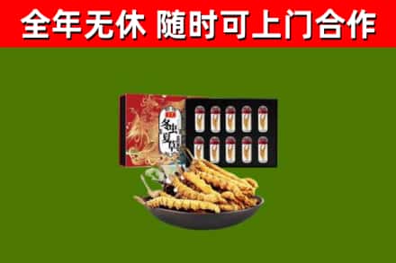杨浦烟酒回收冬虫夏草礼盒.jpg